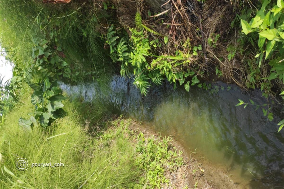 روستای فتیده در لنگرود گیلان